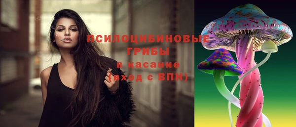 сатива Иннополис