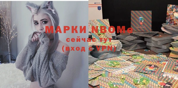 сатива Иннополис