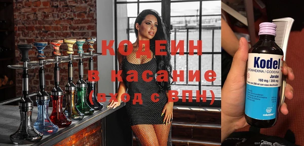 сатива Иннополис