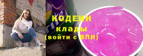 сатива Иннополис