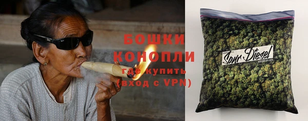 сатива Иннополис