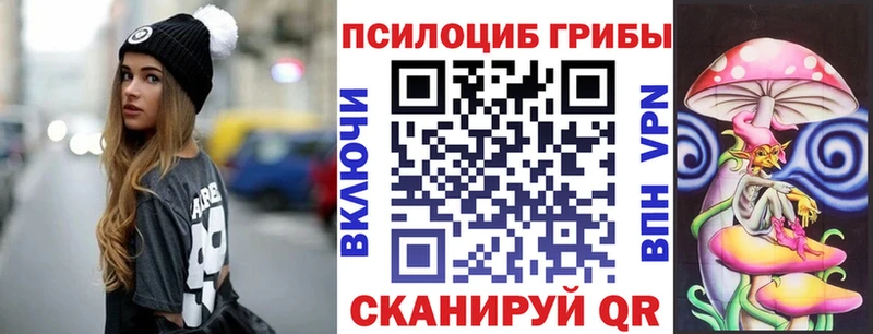 Купить  Павловский Посад  Псилоцибиновые грибы мухоморы 